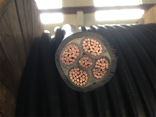 �͟��o(w��)�u��ȼ��|